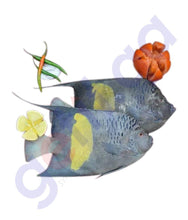 Load image into Gallery viewer, FALSE