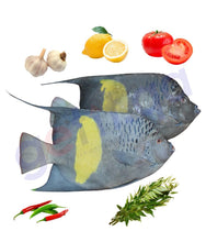 Load image into Gallery viewer, FALSE